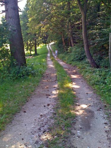 Hotel Fior Di Bosco Giovo Zewnętrze zdjęcie